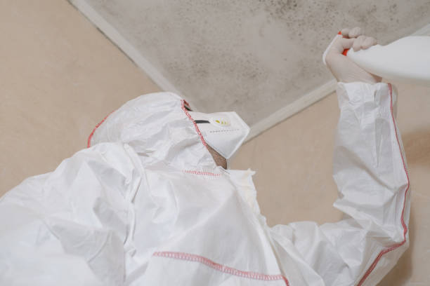 Best Residential Mold Removal  in Marksville, LA